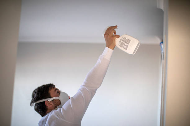 Best Fast Mold Removal  in Wildwood Crest, NJ